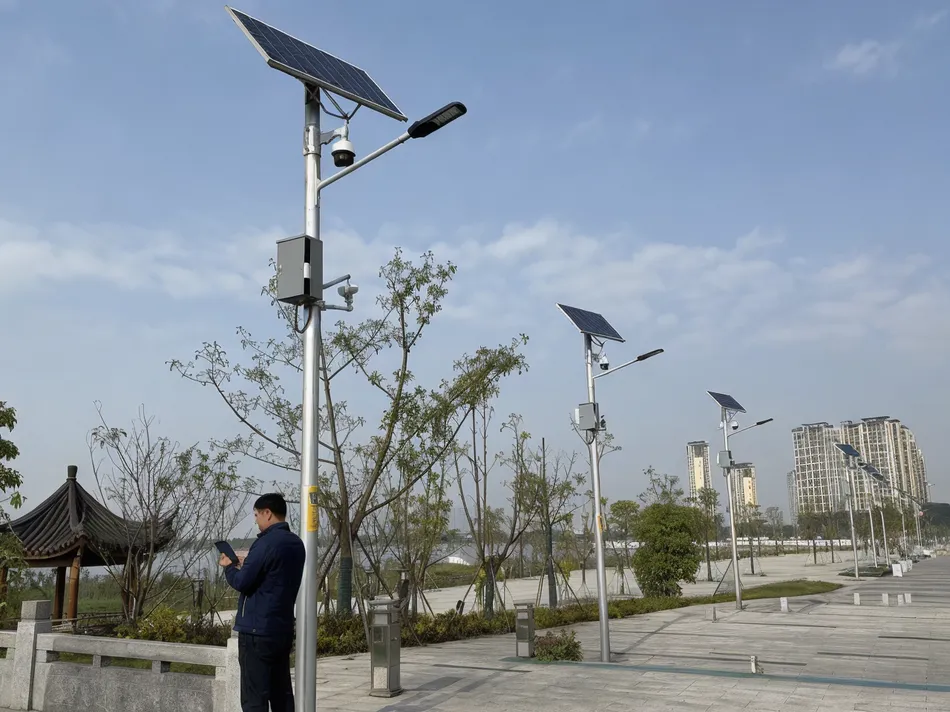 Smart solar lighting system with IoT remote monitoring and camera integration