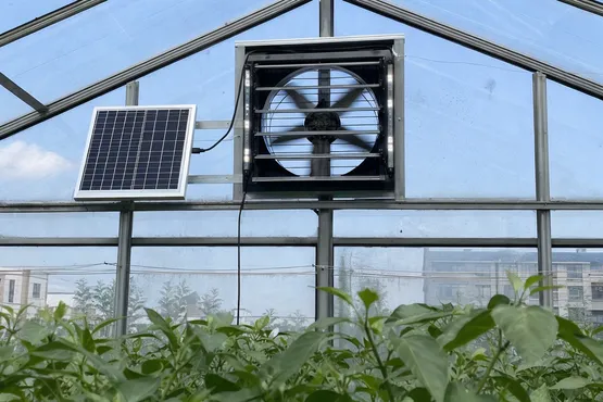 Solar exhaust fan for attic and greenhouse ventilation
