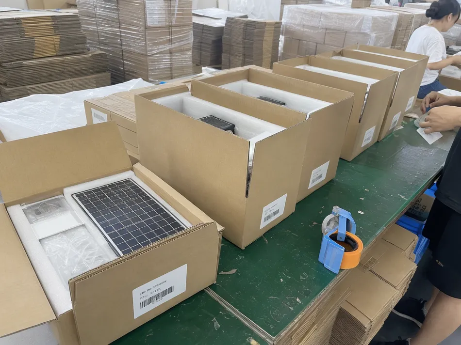 Export carton packing with foam-cushioned solar panel sections and batch traceability labels
