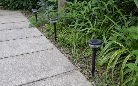 Ground-stake solar accent lights with low-profile LED cap for path and border accent