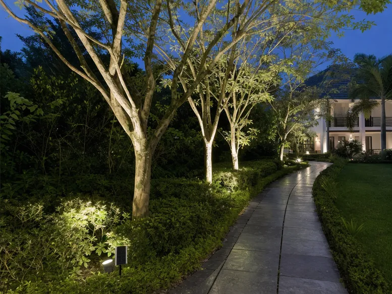 Solar spotlights illuminating feature trees and garden pathways at a resort property