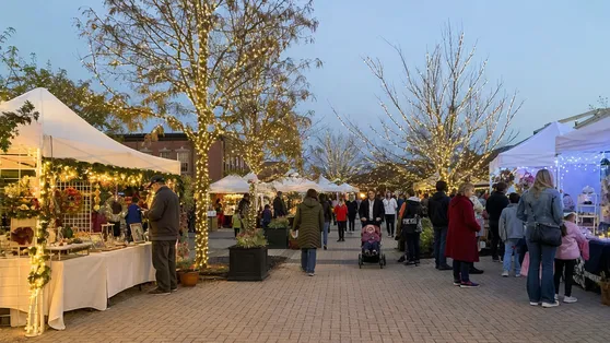 Solar tree lights at an outdoor festival market