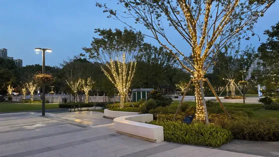 Solar tree lights in a municipal park plaza at dusk