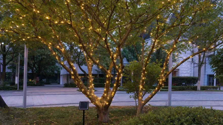 Decorative solar string lights wrapped around tree branches and canopy for ambient effect