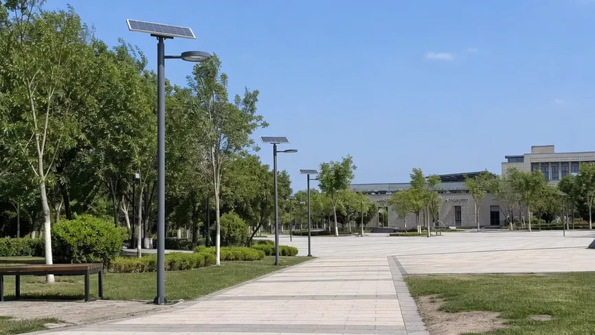 Solar area lights along a campus pathway and open plaza