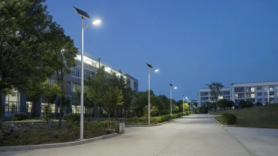 Solar pole lights installed along a university campus pathway at dusk