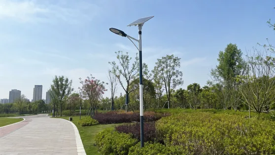 Solar pole light fixture in a public park walkway with landscaping