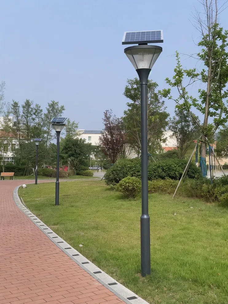 Solar yard lights installed in a municipal community park with standardized fixtures