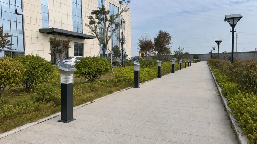 Solar bollard lights and post-top lights along a commercial landscape walkway