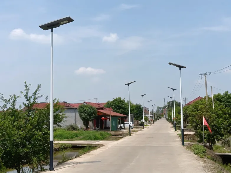 All-in-one solar street lights installed along a village road in a municipal electrification project