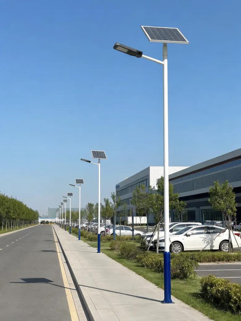 Solar street lights installed along a commercial business campus road with consistent fixture appearance