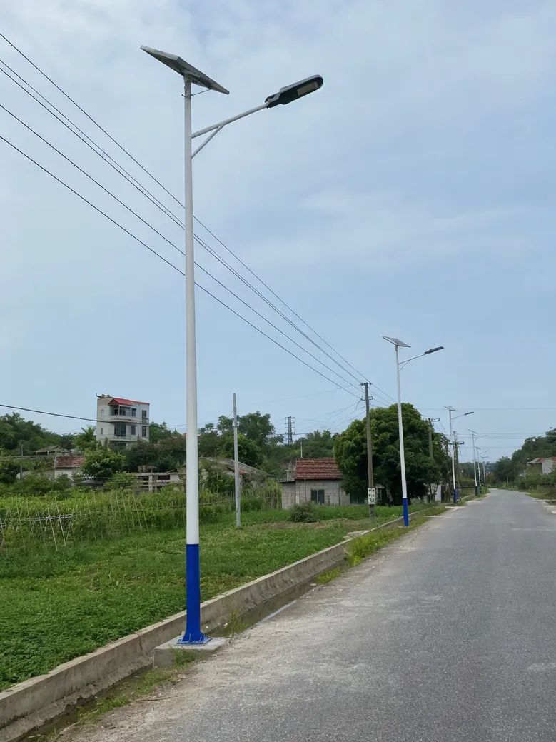 Solar street lights deployed on a rural public road as part of a municipal pilot program
