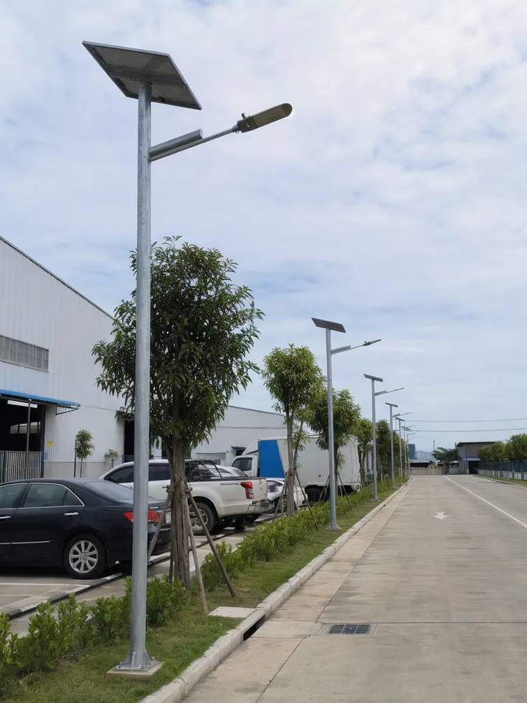 Solar lighting poles installed along a commercial private road and parking area