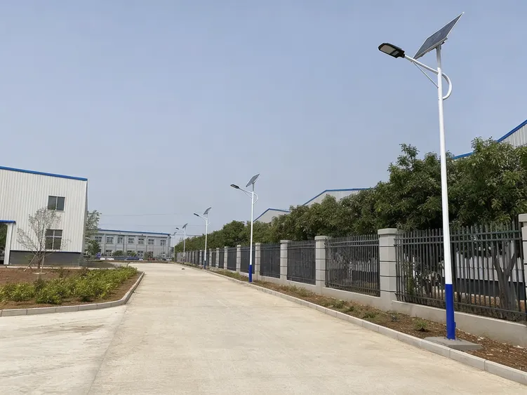 Solar street lights installed along a private development access road and perimeter